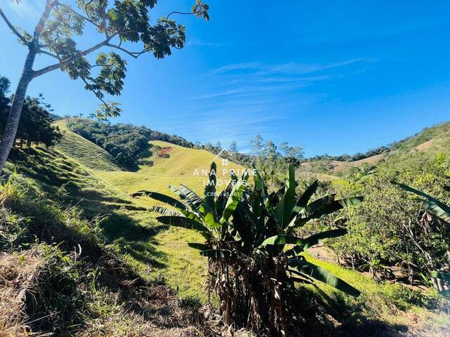 Sítio para Venda em São José dos Campos - 4